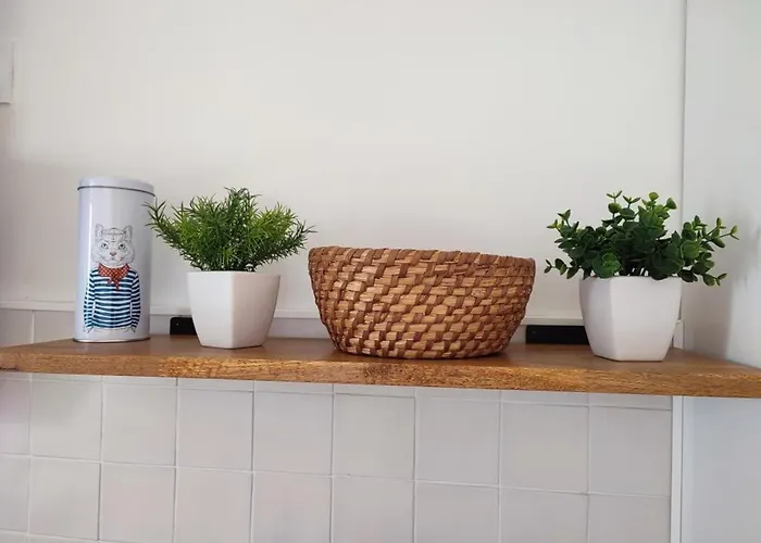 Maison 31m² A Notre-dame-de-monts, 4 Pers. - Fr-1-540-225 Notre-Dame-de-Monts