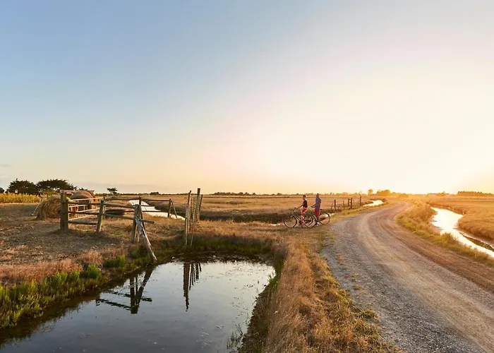 Maison 31m² à Notre-dame-de-monts, 4 Pers. - Fr-1-540-225 *